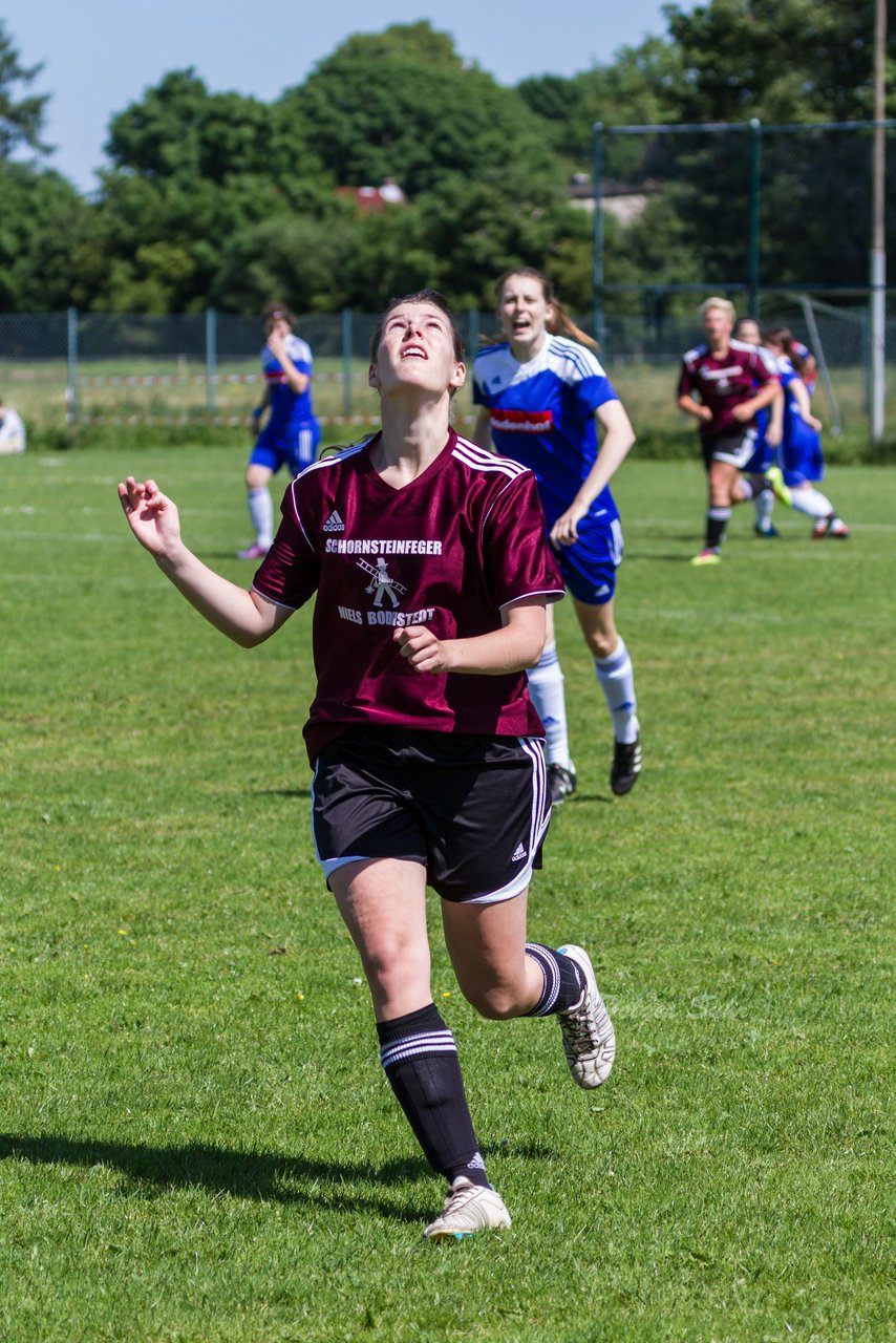 Bild 167 - Frauen SG Wilstermarsch - FSC Kaltenkirchen Aufstiegsspiel : Ergebnis: 2:1